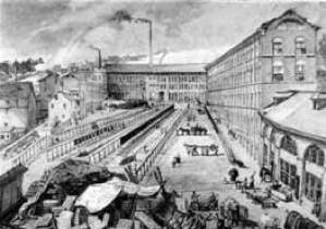 Software: Microsoft Office