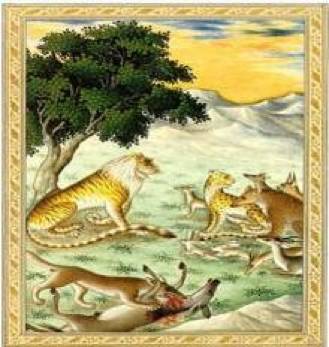 Software: Microsoft Office