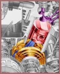 Software: Microsoft Office